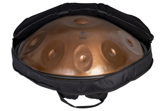 Sela 320 Harmony Handpan D Kurd 10 Phoenix Steel image 6