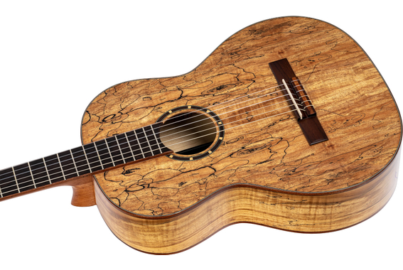 Set Chitarra Acustica Ortega RSM-REISSUE image 6
