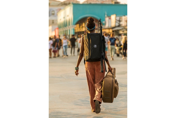 Mackie ShowBox image 6