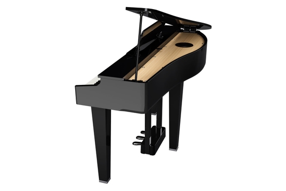 Roland GP-3 PE Digitalvleugel Set image 6