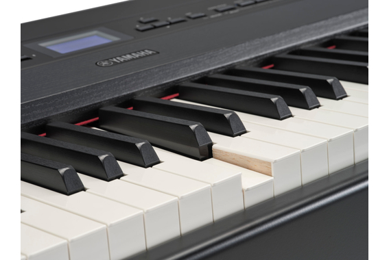 Yamaha P-525B Stage Piano Black image 6