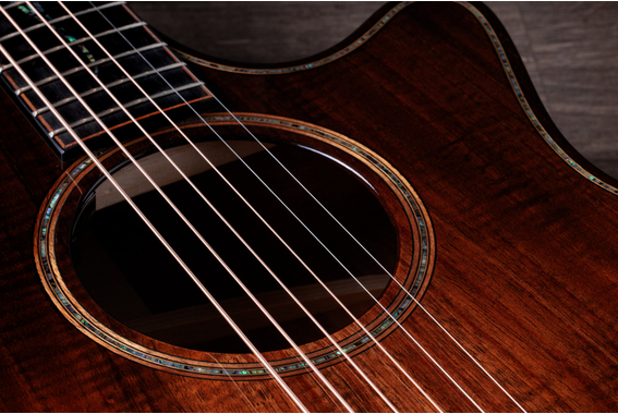 Taylor Next Generation Builder's Edition K24ce image 6