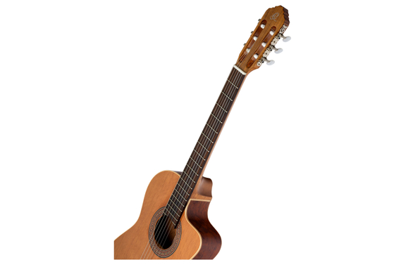 Ortega RCE180GT image 6