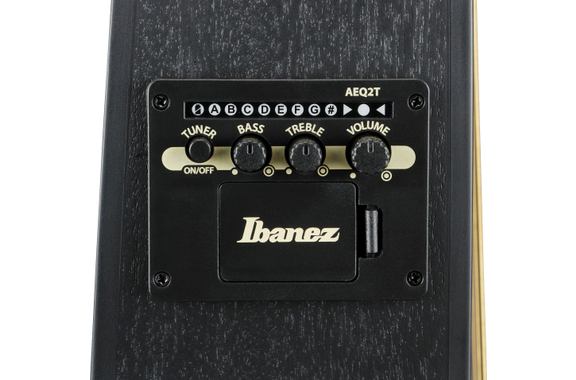 Ibanez TCY621-BOT Talman Gitaar Black Out image 6