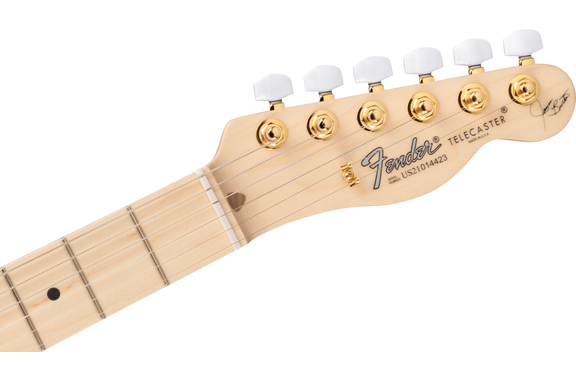 Fender James Burton Telecaster Blue Paisley Flames image 6