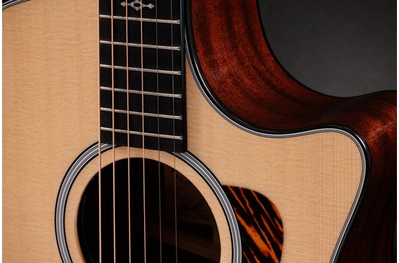 Taylor 314ce Next Generation image 6