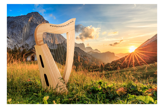 Classic Cantabile H-12 AW Harpe Celtique 12 Cordes Set image 6