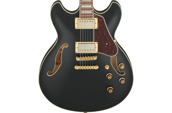 Ibanez AS73G-BKF Guitare Black Flat image 6
