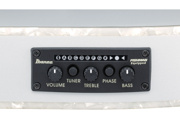 Ibanez TOD10N-SMF Gitaar Silver Metallic Flat image 6