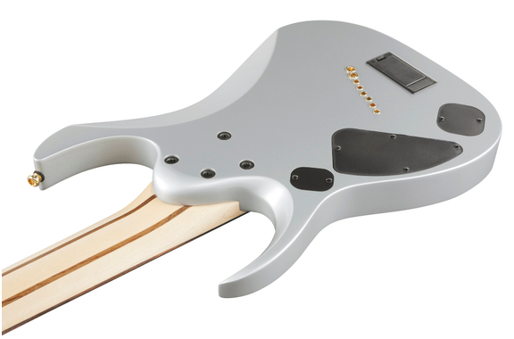 Ibanez RGDMS8-CSM Classic Silver Matte image 6
