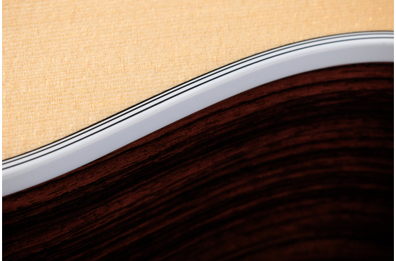 Taylor 454ce 12-string image 6