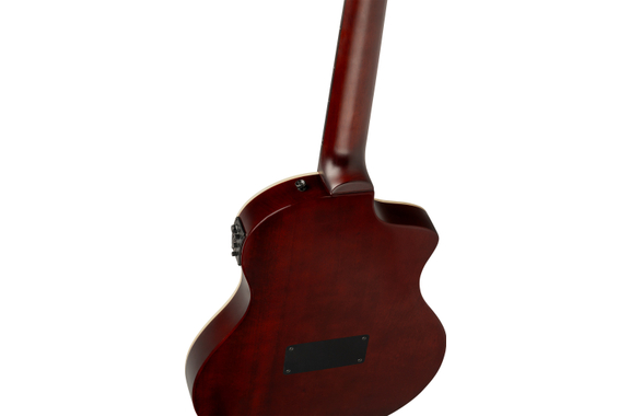 Ortega TourPlayer Deluxe Abete Naturale image 6