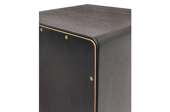 PUR Vision Pro Black & Gold image 6