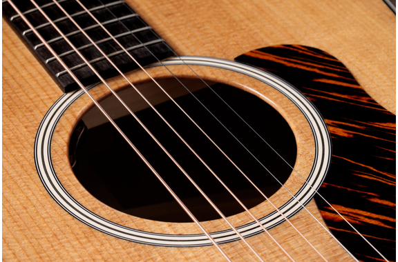 Taylor Gold Label 510e  image 6