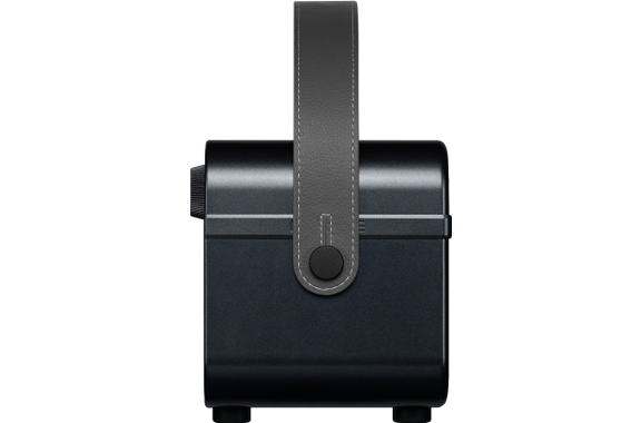 Hotone AP-20 Pulze Jr. Eclipse image 6
