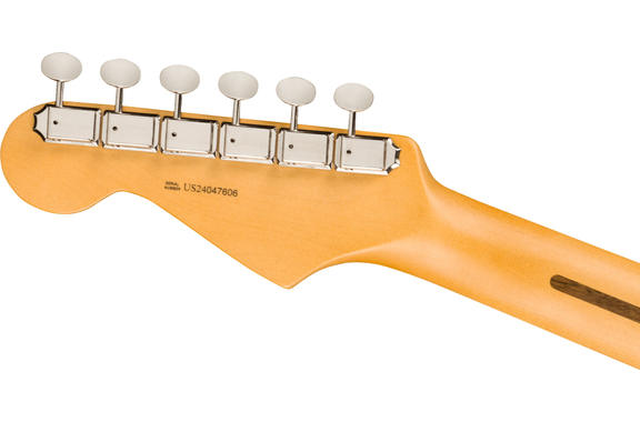 Fender American Professional Classic Stratocaster Faded Black image 6