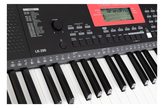Classic Cantabile LK-290 Set de Seguridad para Teclado con Teclas Iluminadas image 6
