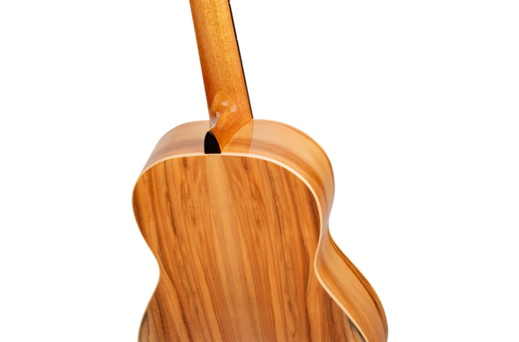 Ortega R20GRG Traditional Series 4/4 Guitare Classique image 6