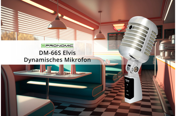 Pronomic DM-66S Elvis Microphone Dynamique Argent/Blanc image 6