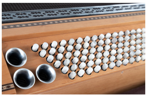 Alpenklang Pro Accordéon IV 96 MH Orme image 6
