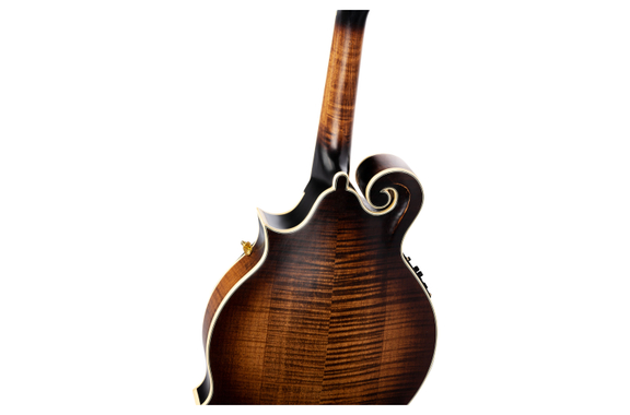 Ortega RMFE100AVO F-Style Mandoline Antique Violin Oil  - Retoure (Zustand: sehr gut) image 6