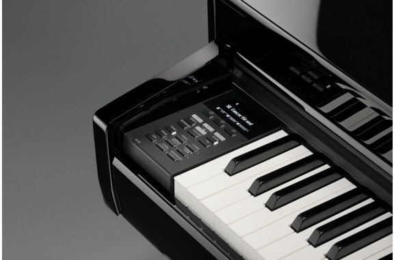 Kawai DG-30 Piano Digital image 6