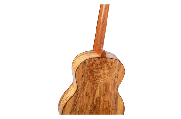 Ortega RSM-REISSUE image 6