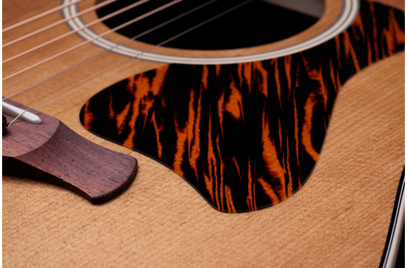 Taylor Gold Label 710e image 6
