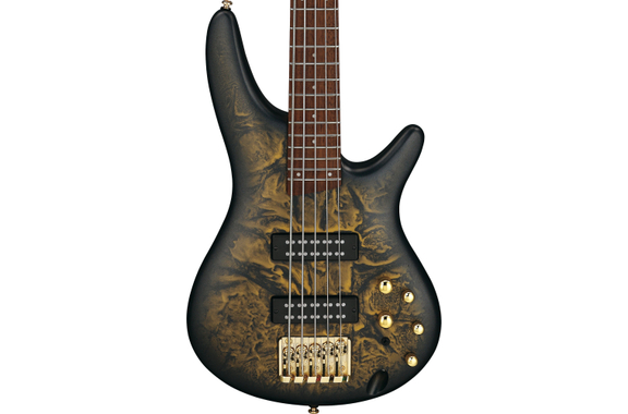 Ibanez SR305EDX-FDM Bajo Eléctrico Frozen Gold Matte image 6