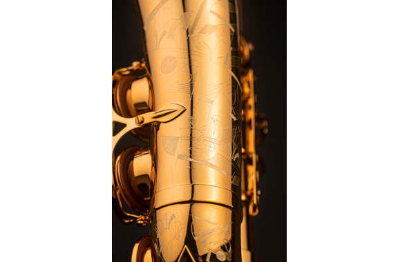 Selmer Sassofono Alto Eb Signature, Verniciatura Oro image 6