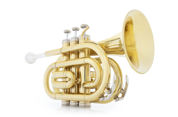 Classic Cantabile Brass TT-500 Bb Pocket Trumpet Brass image 6