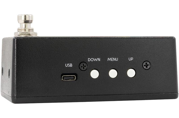 Walrus Audio Canvas Tuner image 6
