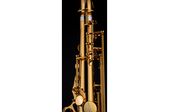 Selmer Sassofono Tenore Bb Signature, Verniciatura Oro image 6