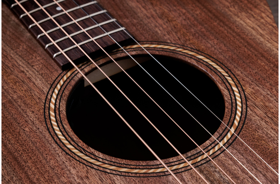 Jacob Collier Academy 22e 5-String image 6