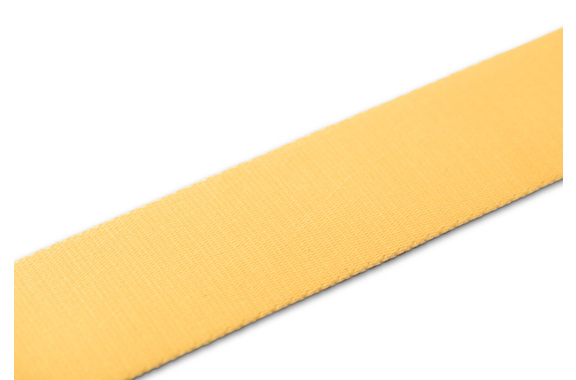 Taylor Swift Signature Strap Brown image 6