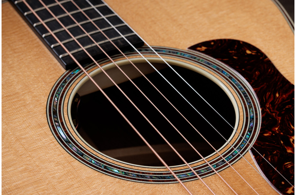 Taylor Gold Label 814e  image 6