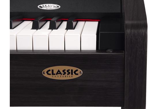 Classic Cantabile DP-210 RH E-Piano Palissandro image 6