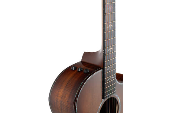 Taylor C14ce Custom #29 GA Master  image 6