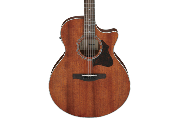 Ibanez AE140-OPN Chitarra Da Concerto Open Pore Natural image 6