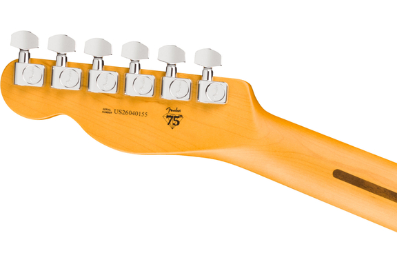 Fender American Professional Telecaster Dark Night image 6