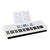 FunKey 61 Edition Pro Blanco Safety Fix Set thumbnail 7