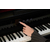 Casio Celviano AP-750 BK Digitalpiano schwarz CB-30 Set thumbnail 7