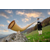 Lechgold Alphorn Deluxe Fis 347 cm 3-teilig  - Retoure (Zustand: sehr gut) thumbnail 7