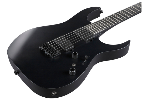 Ibanez RGRTB621-BKF Iron Label image 7