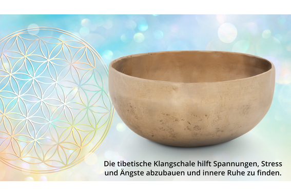 XDrum Therapeutic Klangschale Ton G / 700 g  - Retoure (Zustand: gut) image 7