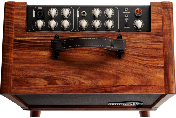 Taylor Circa74 AV150-10 150W 10" Combo Acoustique Koa image 7