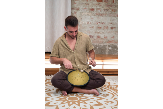 Meinl Sonic Energy 10" Compact Steel Tongue Drum  - Retoure (Zustand: sehr gut) image 7