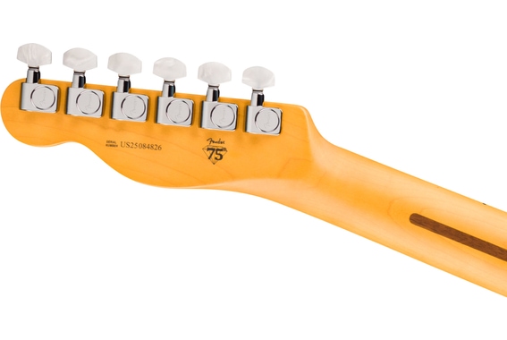 Fender 75th Anniversary American Professional Classic Cabronita Telecaster Ice Blue Metallic image 7