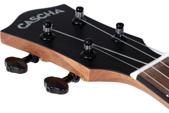 Cascha Tenor Ukulele Zebra Wood Set image 7