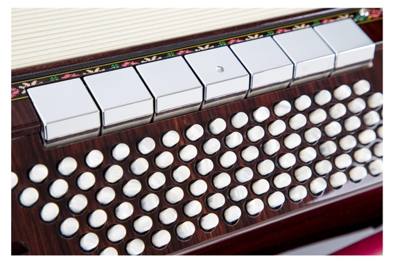 Zupan Alpe V 96 EF/MHR Cassotto Accordéon Palissandre image 7